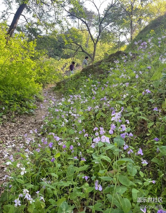 【五一風(fēng)光】回歸田園