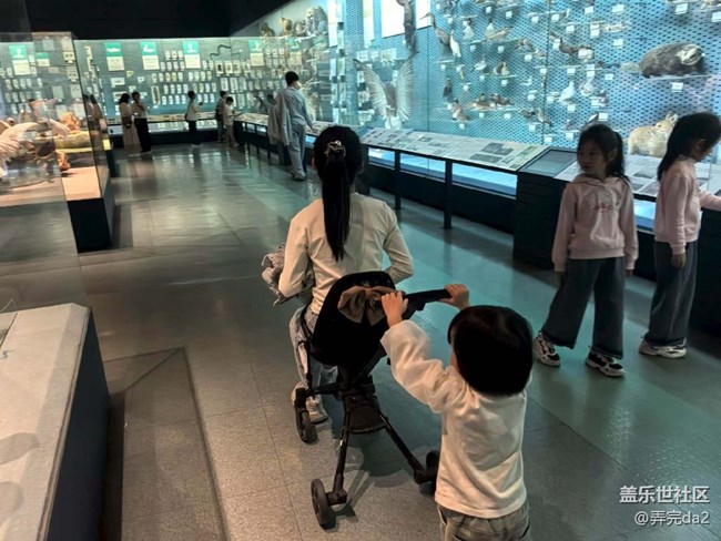 【五一風(fēng)光】自然博物館