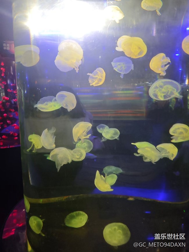 【五一趣拍分享】水族館