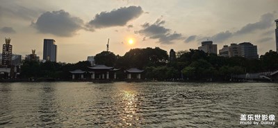 隨手拍