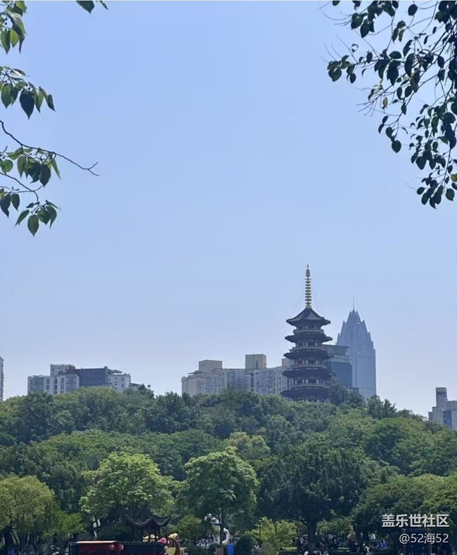 【折疊屏手機陪伴的五一】公園