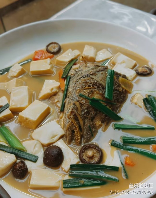 【五一食光】魚頭豆腐
