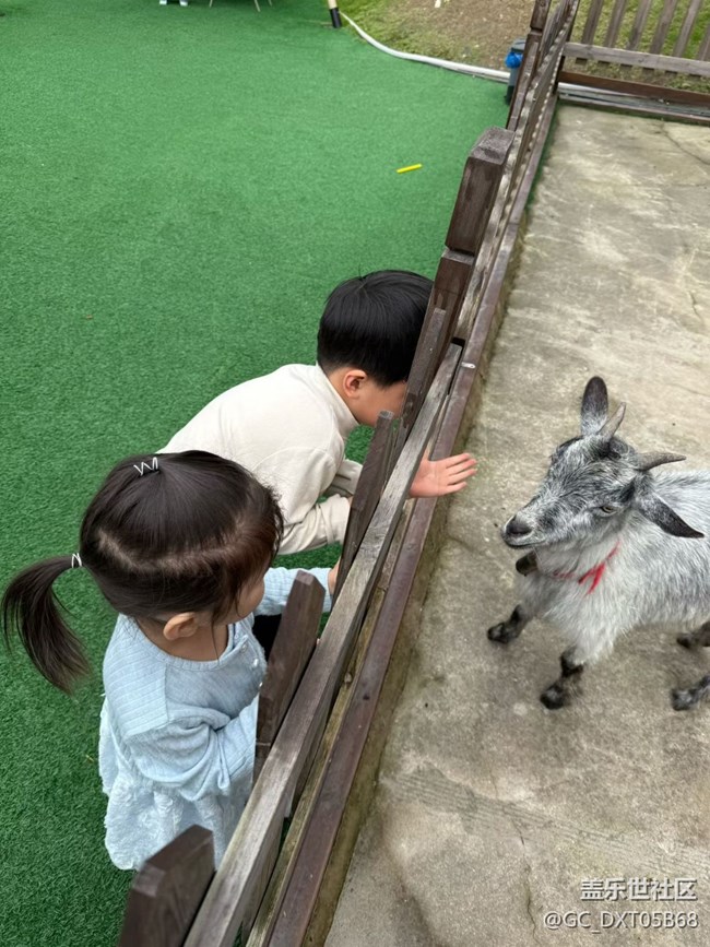 【五一風(fēng)光】喵樂園