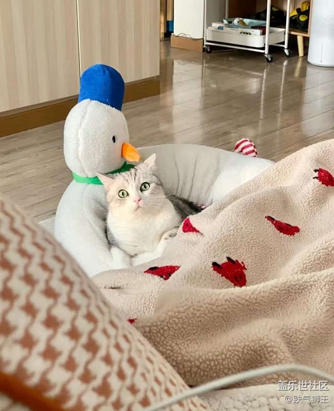 【五一趣拍分享】宅家生活
