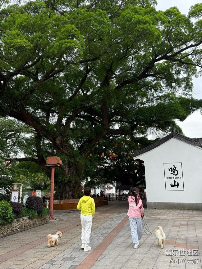 【五一風光】走走逛逛