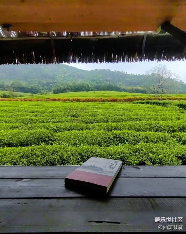 【五一風(fēng)光】茶園