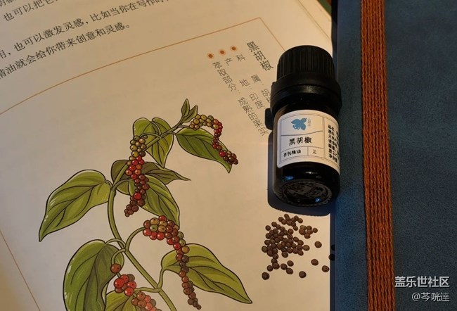 【五一趣拍分享】小院日常