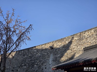 【小長假美拍分享】最美晴天