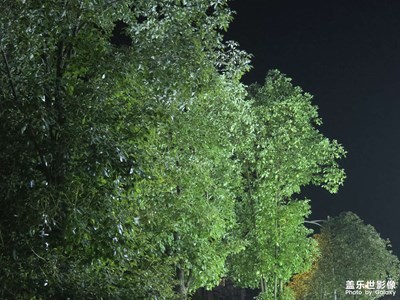 【小長假美拍分享】夜色