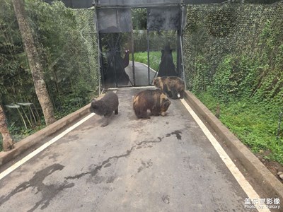 【小長假美拍分享】動(dòng)物園小記