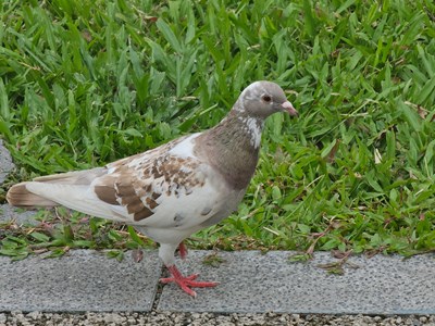 【小長(zhǎng)假美拍分享】公園慢生活