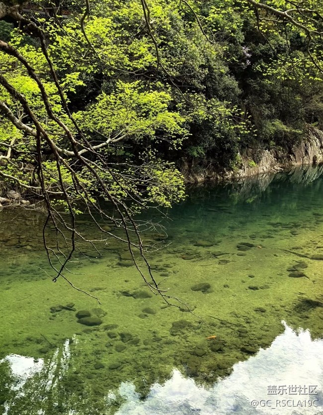 【五一風(fēng)光】山里美景