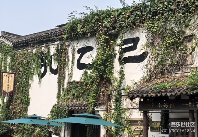 【五一風(fēng)光】逛古鎮(zhèn)