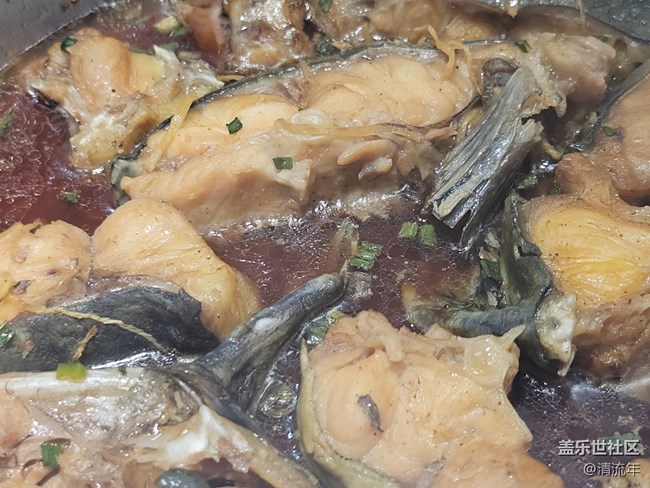 【五一食光】吃魚