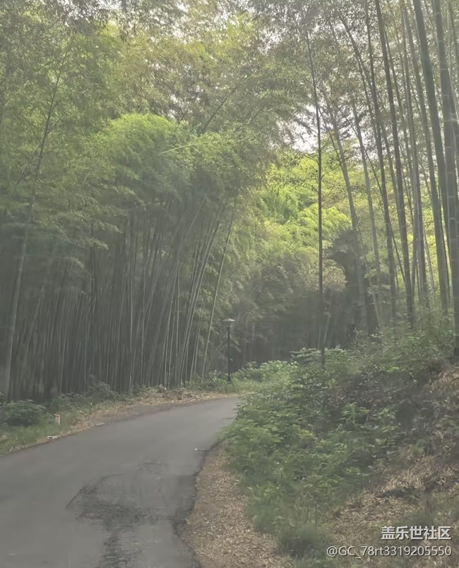 【五一趣拍分享】林中漫步