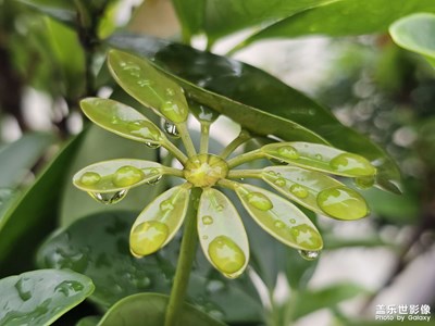 【小長假美拍分享】下雨天