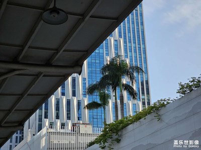 【小長假美拍分享】假日城市行