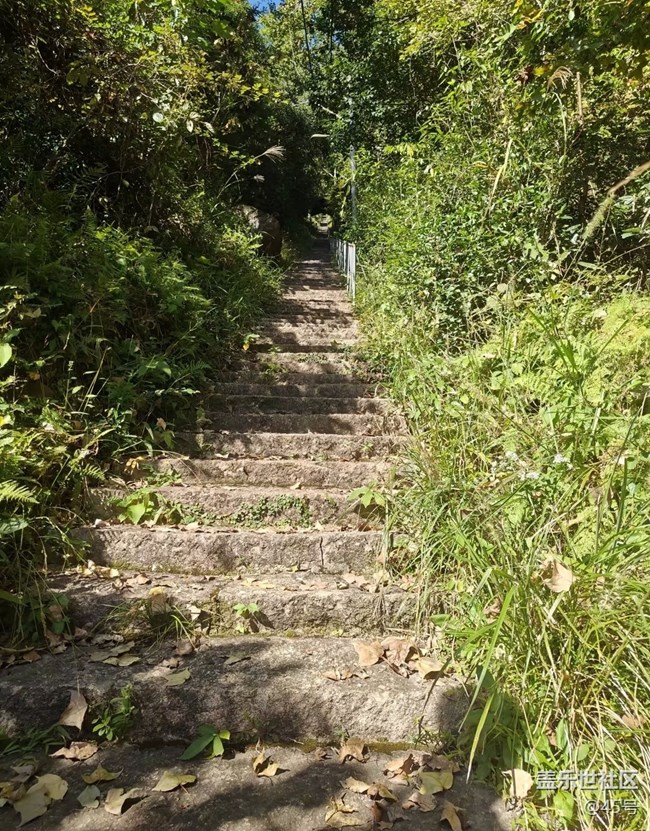 【山野尋幽】登山體驗