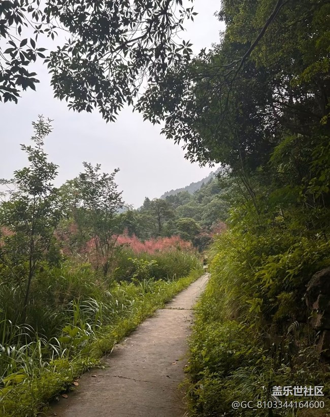 【山野尋幽】登山之旅
