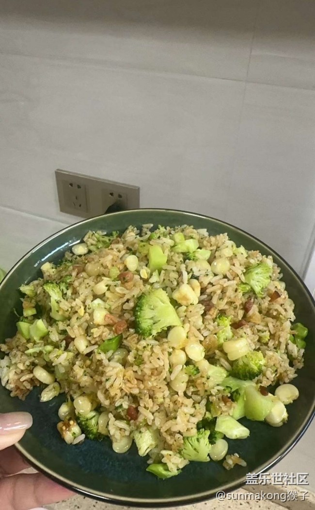 【春末集鮮】蝦皮炒飯