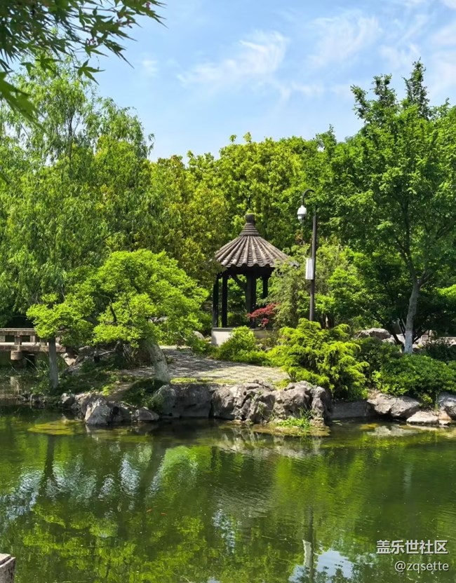 【山野尋幽】森林公園