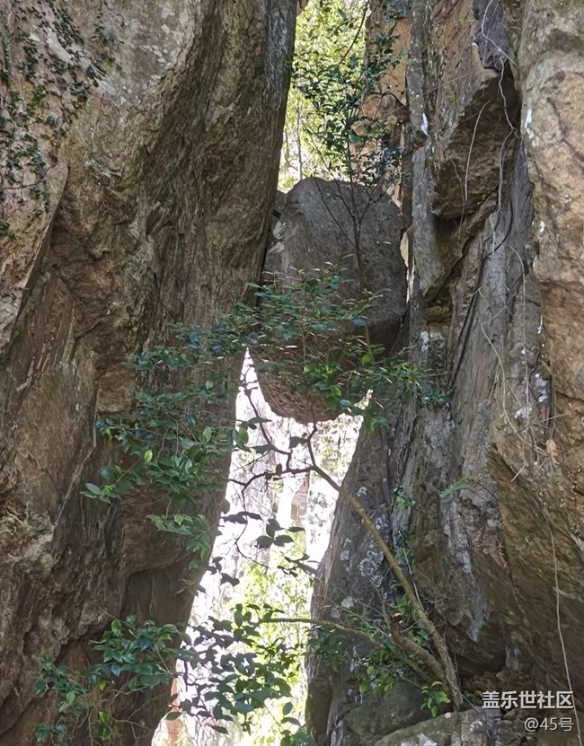 【山野尋幽】登山體驗