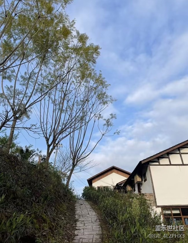 【山野尋幽】山頂景色