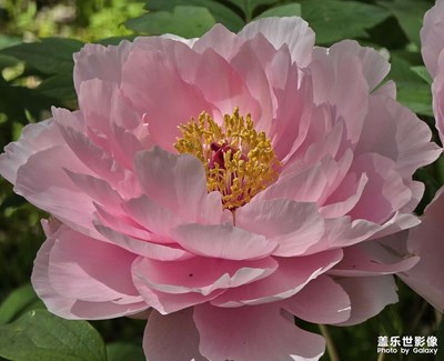 【初夏拾光】+安靜祥和