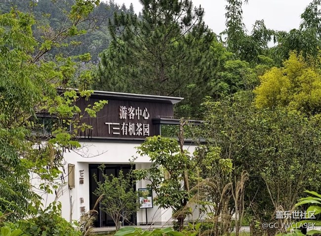 【山野尋幽】山上茶園