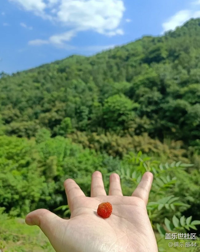 【山野尋幽】后山