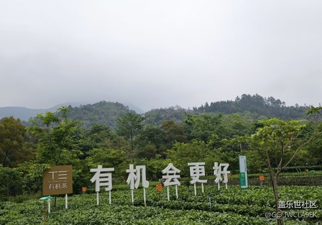 【山野尋幽】山上茶園