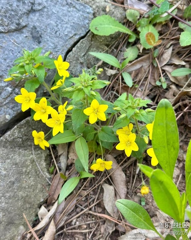 【山野尋幽】登山輕體驗(yàn)