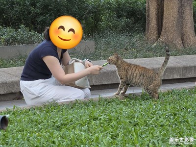 街心花圃的??以及路人的投喂
