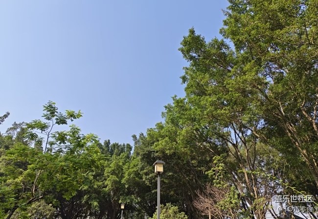 【山野尋幽】清新空氣