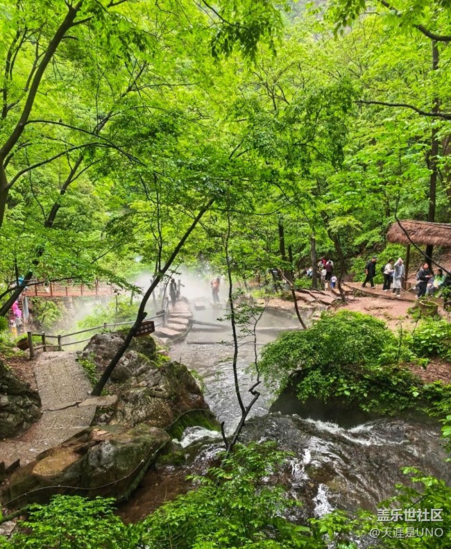 【山野尋幽】綠油油的山林