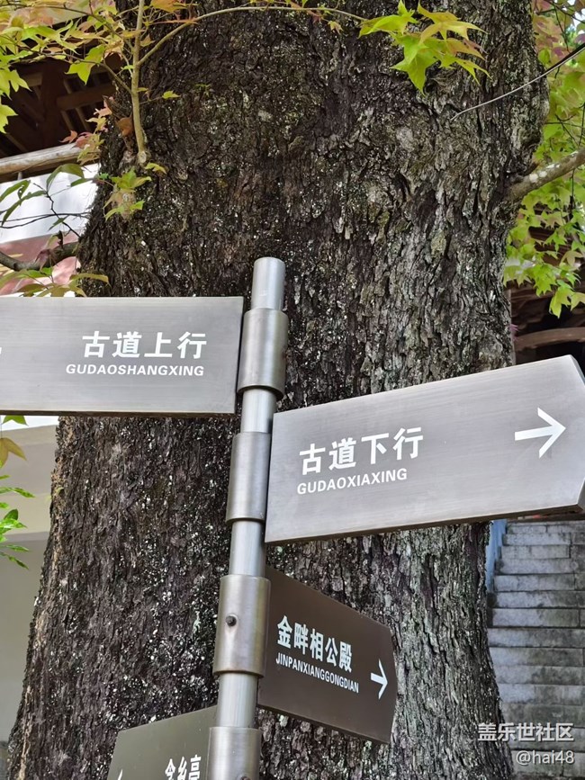 【山野尋幽】周末爬山