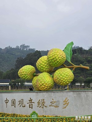 步行與美景