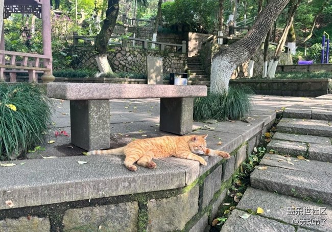 【山野尋幽】附近公園