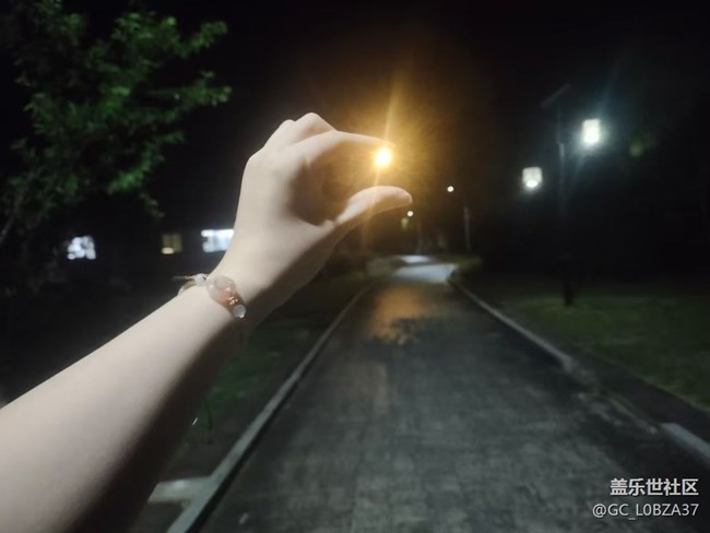 【山野尋幽】夜晚