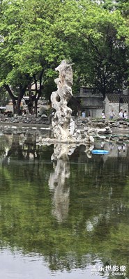 隨手拍