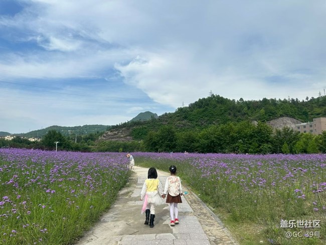 【山野尋幽】花花世界