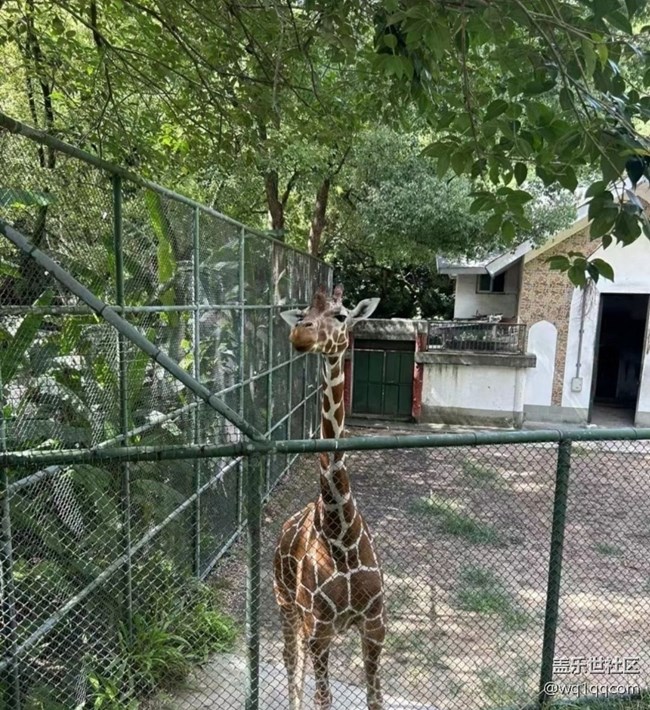 【山野尋幽】動物園