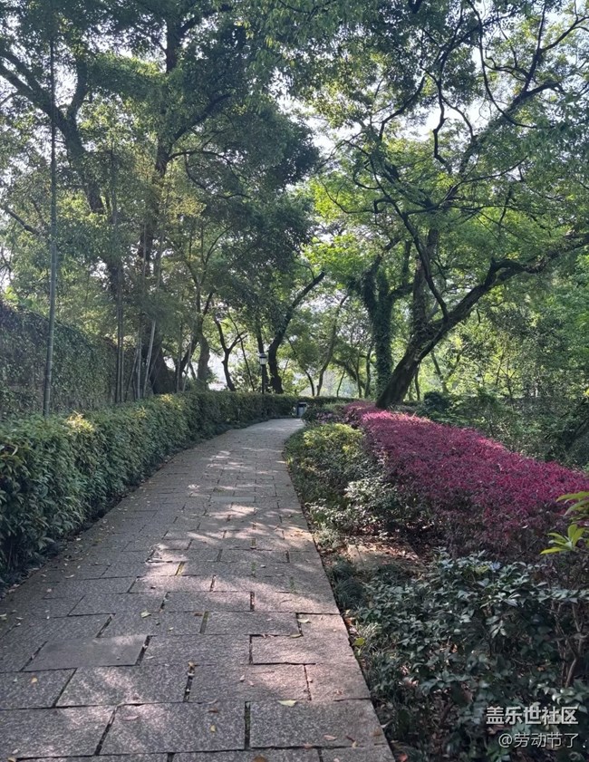 【山野尋幽】附近公園