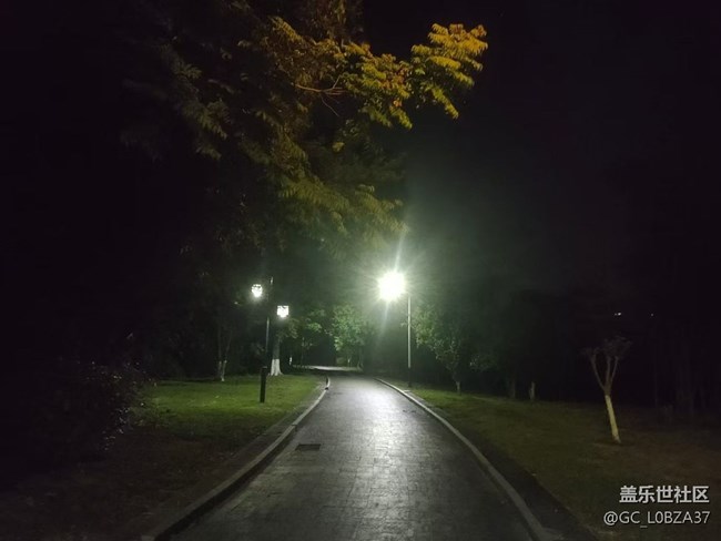 【山野尋幽】夜晚