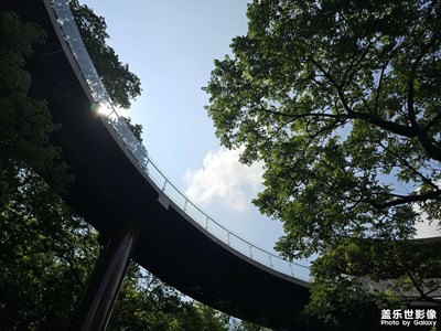【初夏拾光】郊野公園