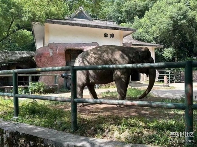 【山野尋幽】動物園