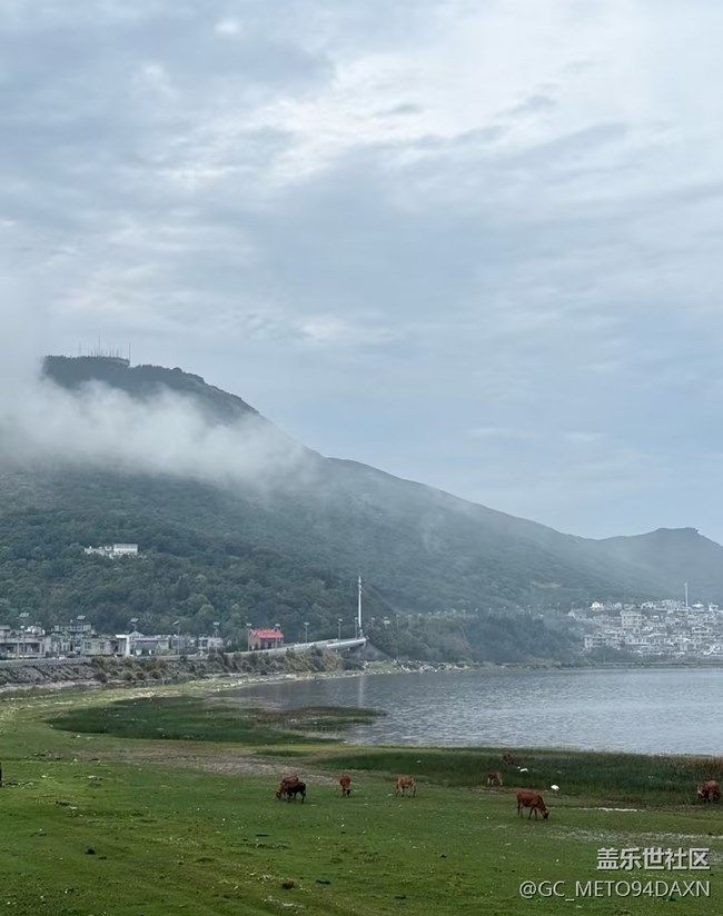 【山野尋幽】海邊