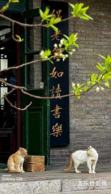 沈陽趙爾巽公館舊址