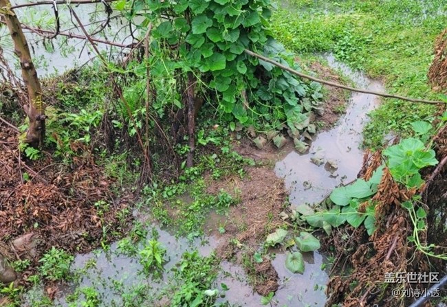 【山野尋幽】大雨過后