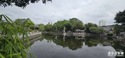 隨手拍